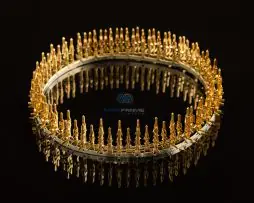 Male ATX Gold Plated 100